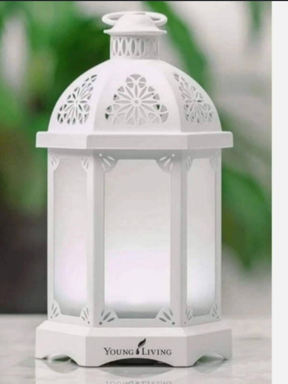 Young Living Lantern Diffuser New In Box